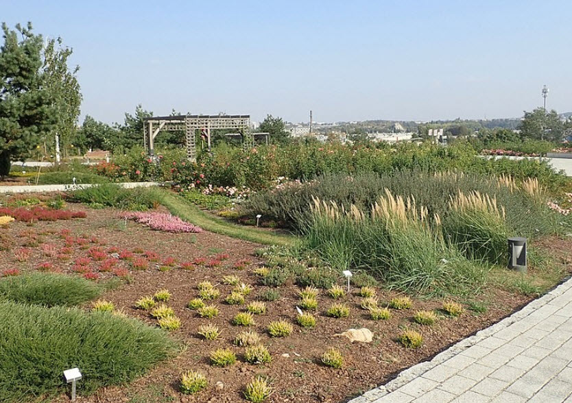 Kielce Botanical Garden, Poland